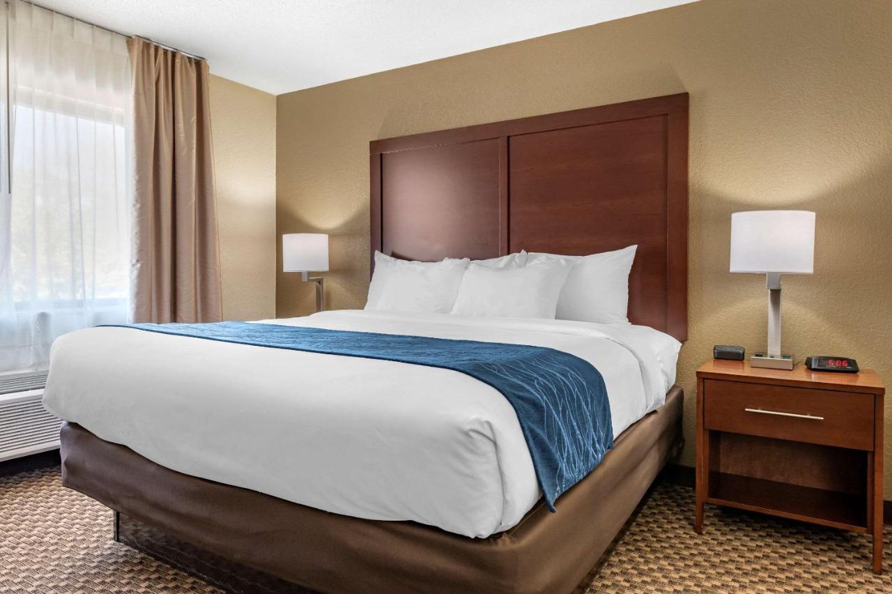 Comfort Inn Near Kokomo Speedway Extérieur photo
