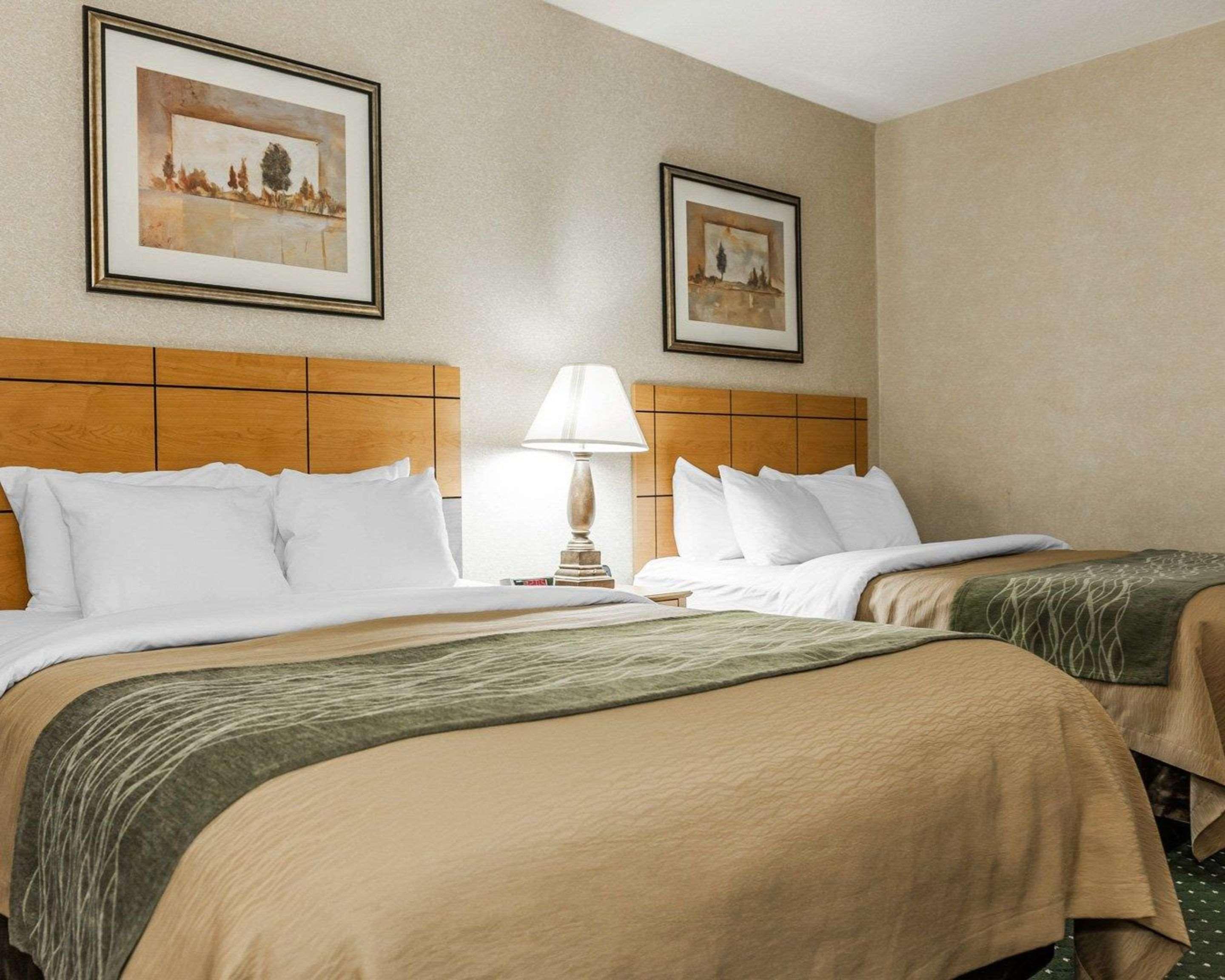 Comfort Inn Near Kokomo Speedway Extérieur photo